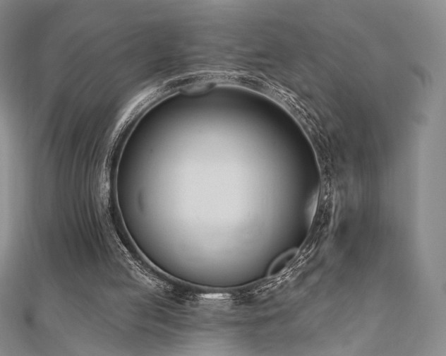 X0000110740053200906151112