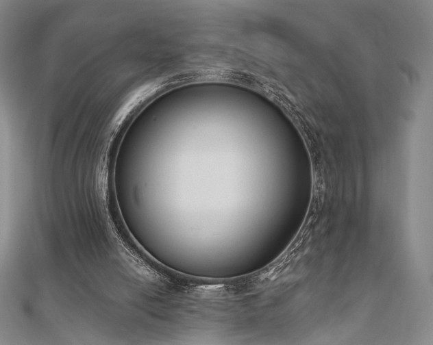 X0000110740054200906151112