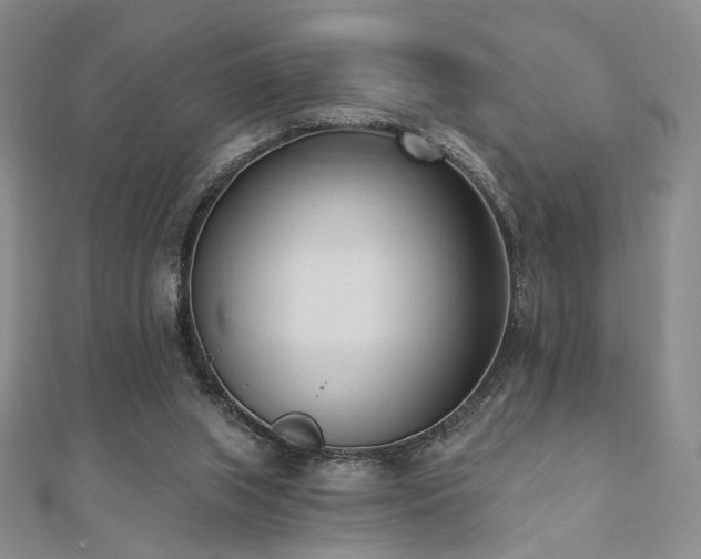 X0000110740063200906151112