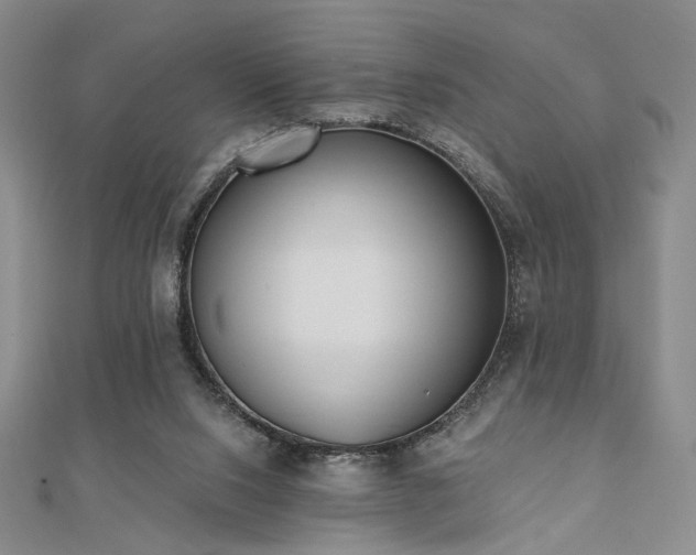 X0000110740064200906151112