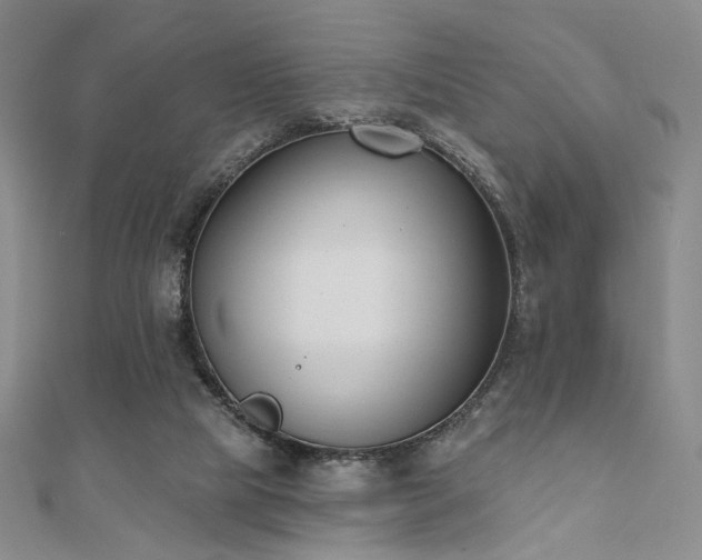 X0000110740065200906151112