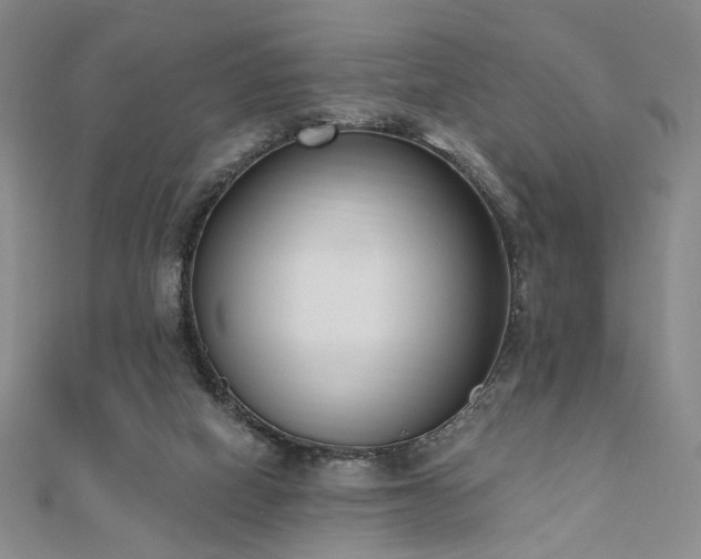 X0000110740066200906151112