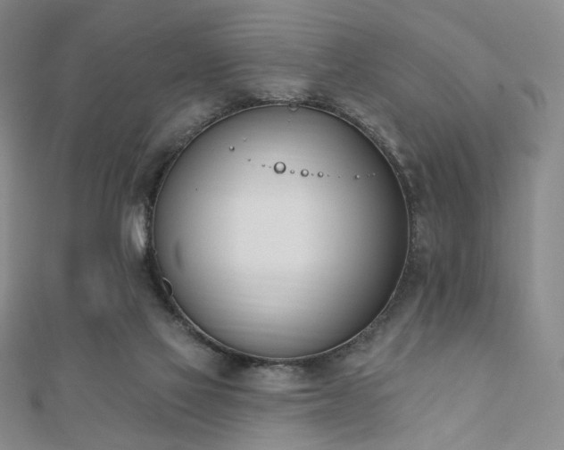X0000110740069200906151112