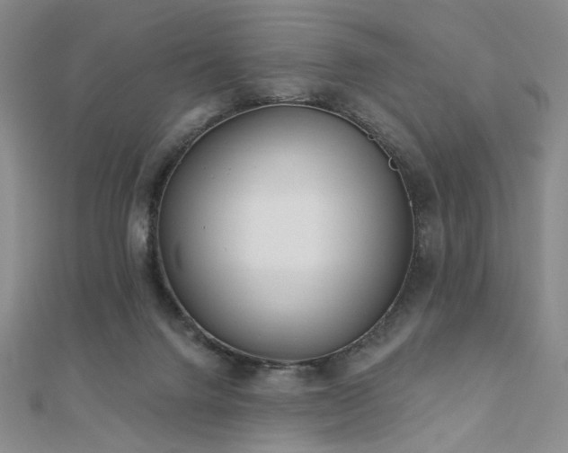 X0000110740072200906151112