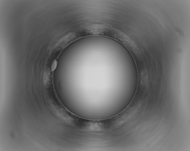 X0000110740073200906151112