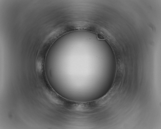 X0000110740074200906151112