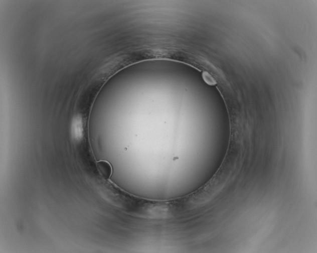 X0000110740075200906151112