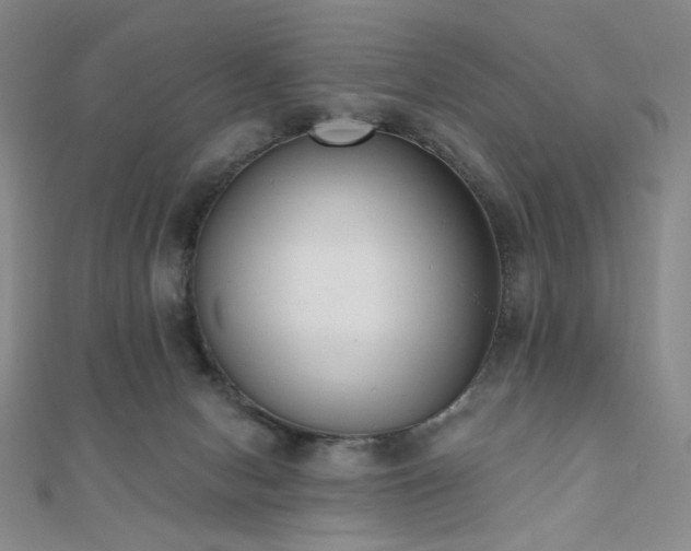 X0000110740078200906151112