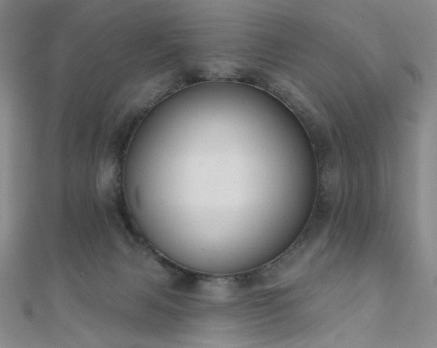 X0000110740079200906151112