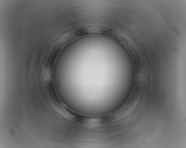 X0000110740081200906151112