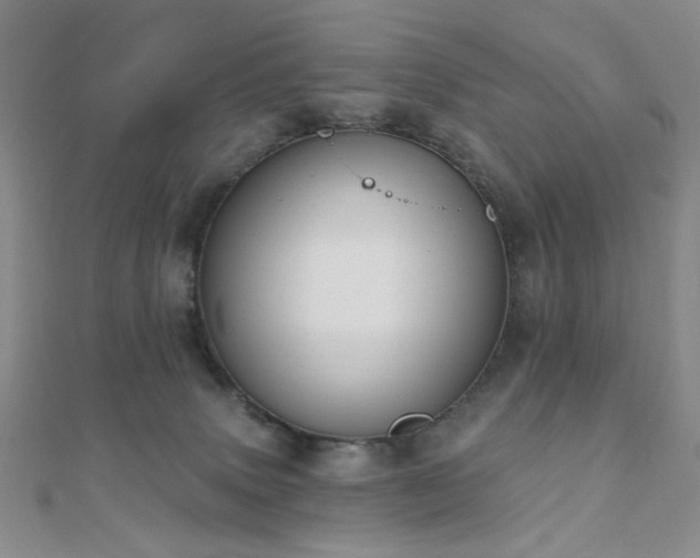 X0000110740083200906151112