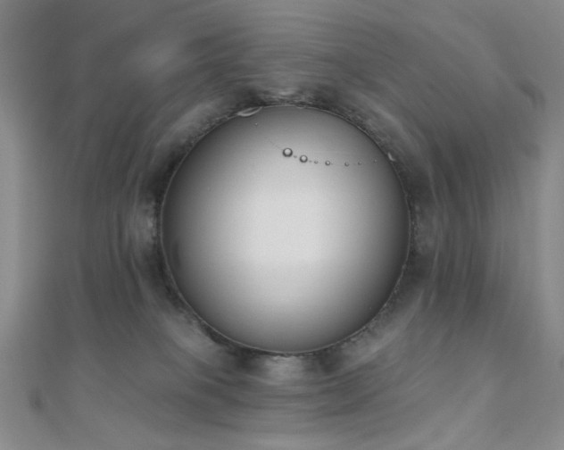 X0000110740085200906151112