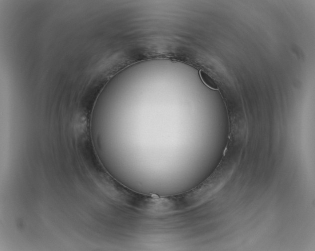 X0000110740087200906151112