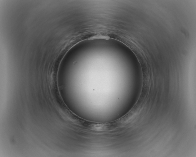X0000110740088200906151112
