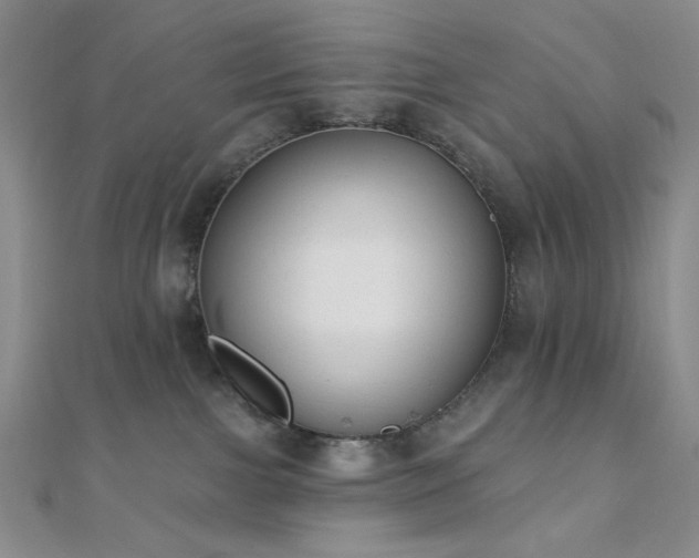 X0000110740091200906151112