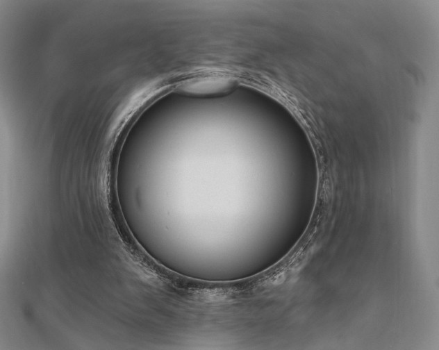 X0000110740103200906151112