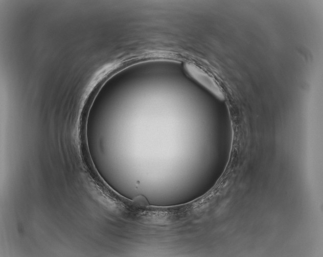 X0000110740104200906151112