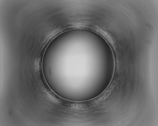 X0000110740105200906151112
