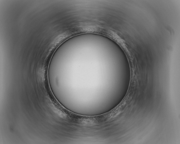 X0000110740106200906151111