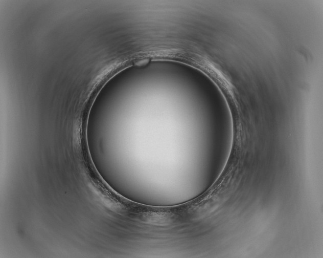 X0000110740107200906151111