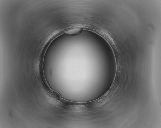 X0000110740108200906151111