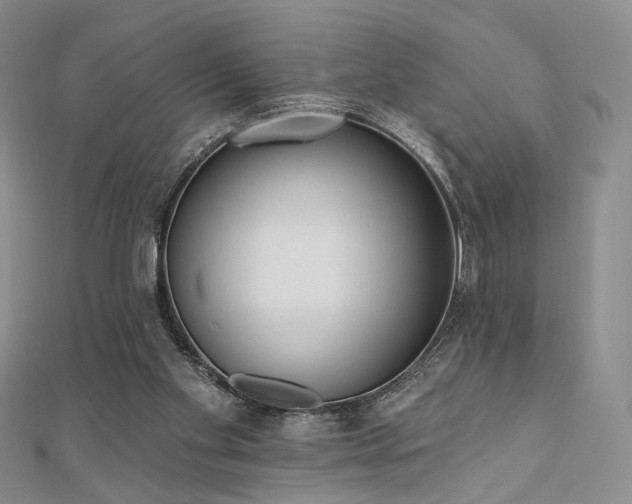 X0000110740109200906151111