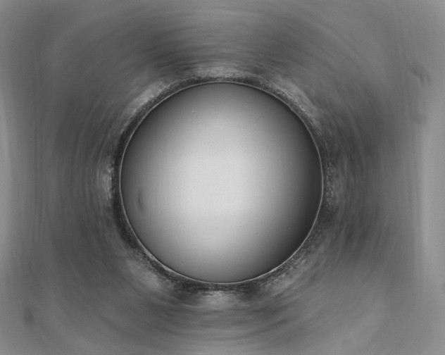 X0000110740111200906151111