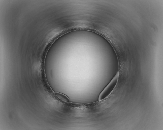X0000110740112200906151111