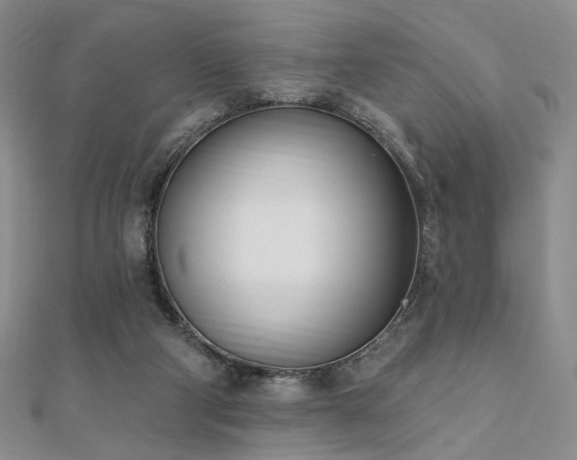 X0000110740114200906151111