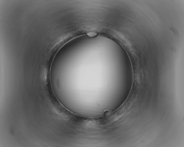 X0000110740115200906151111