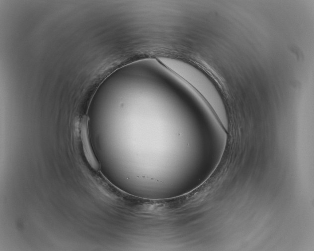 X0000110740117200906151111