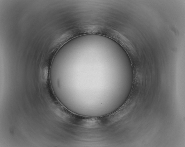 X0000110740118200906151111