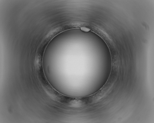 X0000110740119200906151111