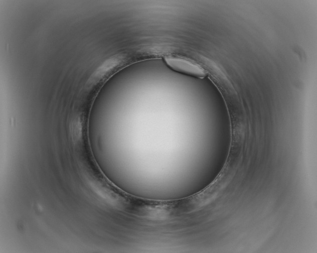 X0000110740120200906151111
