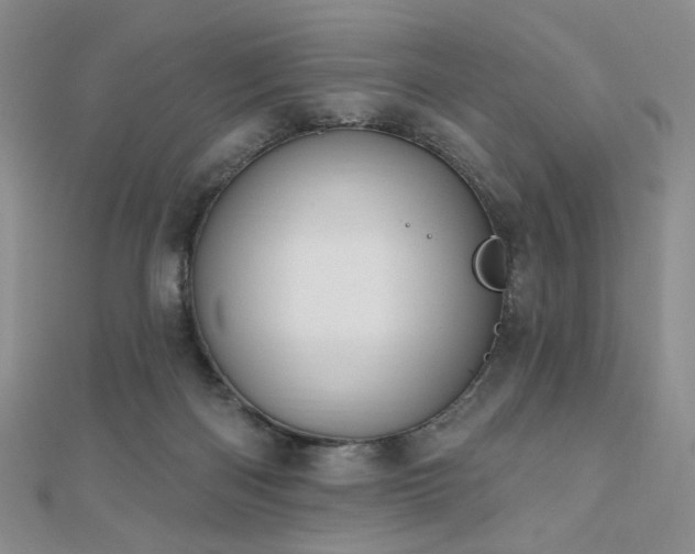 X0000110740122200906151111