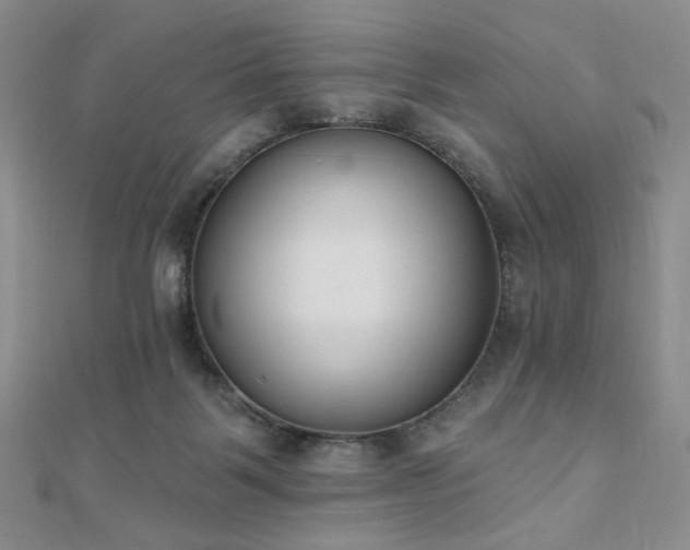 X0000110740123200906151111