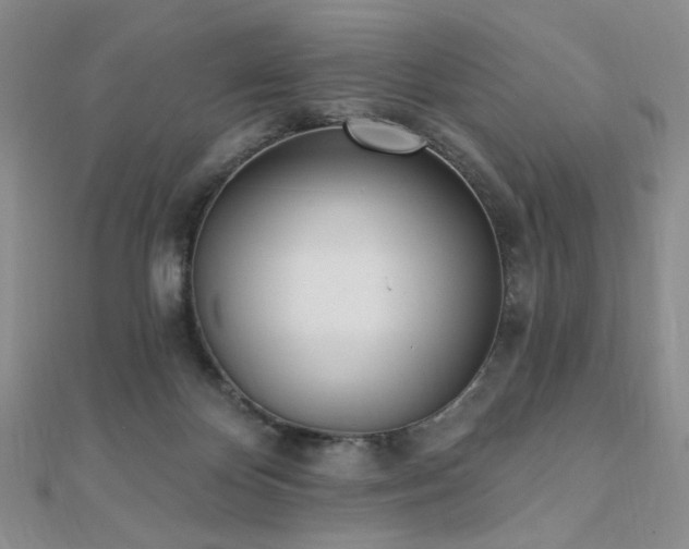 X0000110740124200906151111