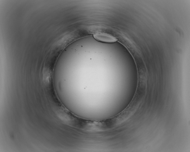 X0000110740125200906151111