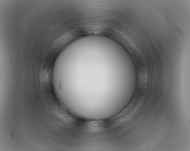 X0000110740126200906151111