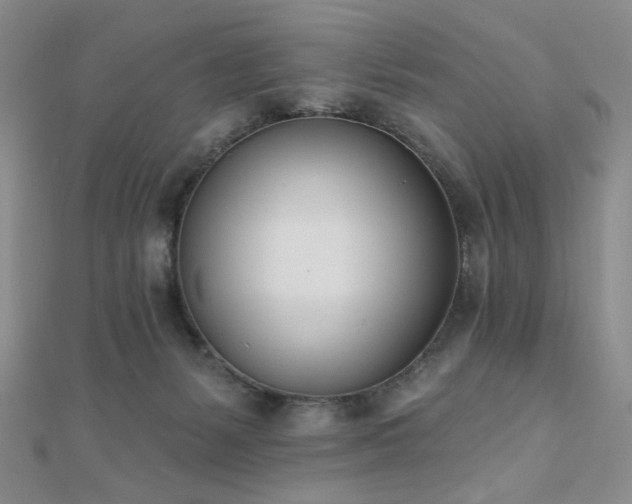 X0000110740127200906151111
