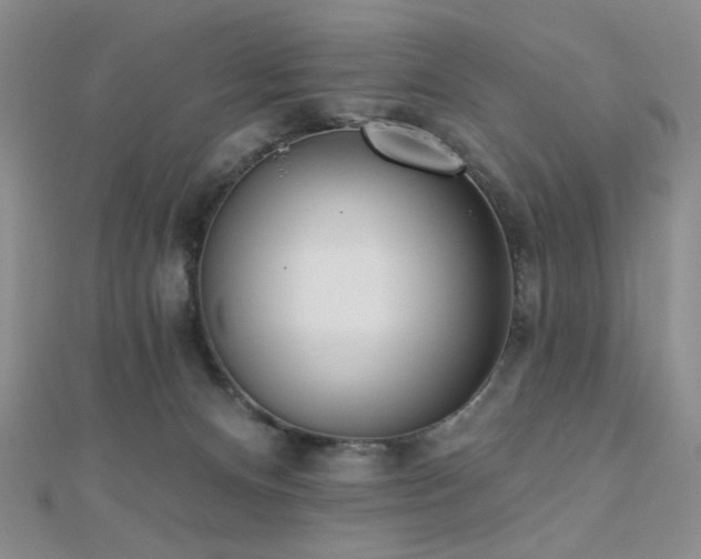 X0000110740128200906151111