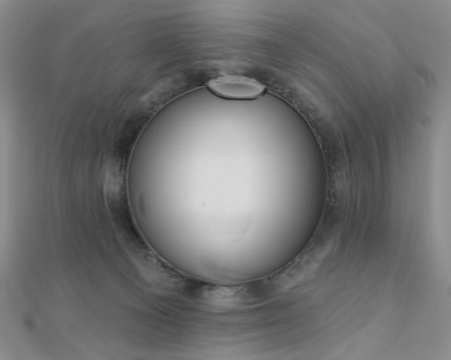 X0000110740129200906151111