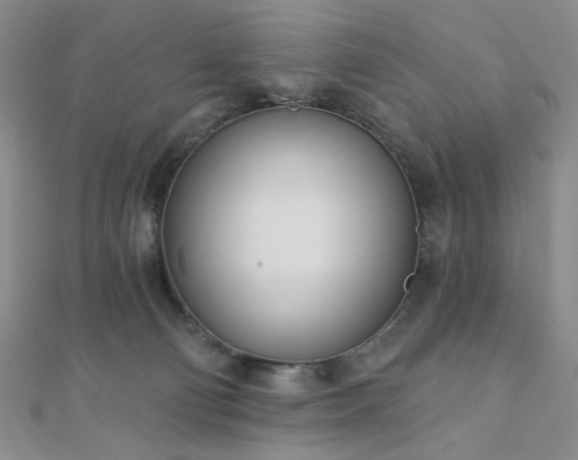X0000110740130200906151111