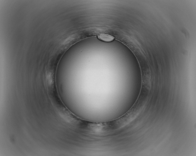 X0000110740131200906151111