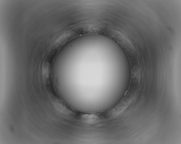 X0000110740133200906151111