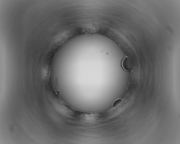 X0000110740134200906151111