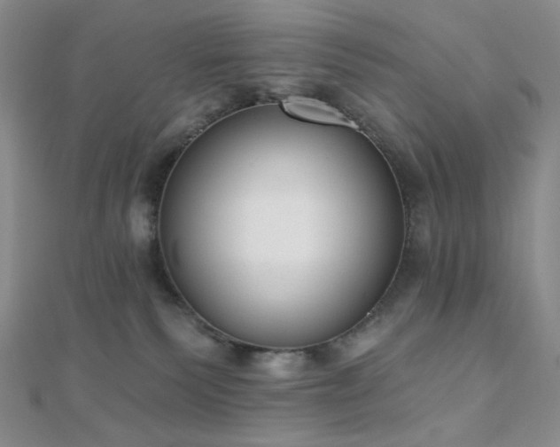 X0000110740135200906151111