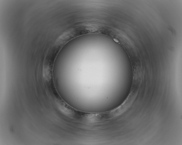 X0000110740136200906151111