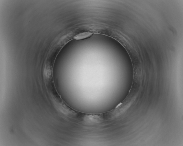 X0000110740137200906151111