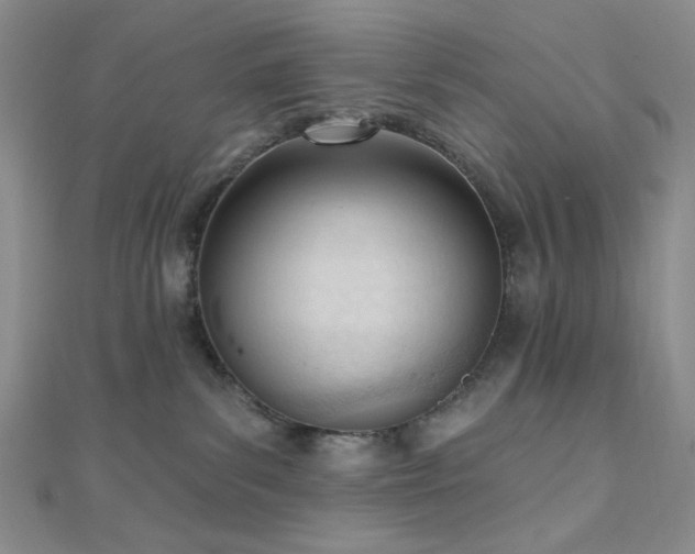 X0000110740139200906151111
